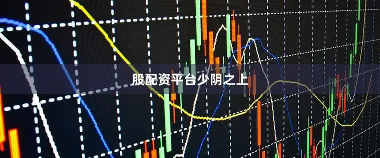 股配资平台少阴之上