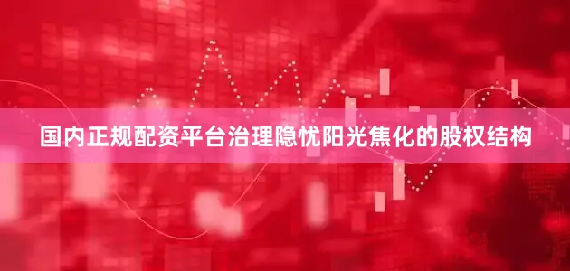 国内正规配资平台治理隐忧　　阳光焦化的股权结构