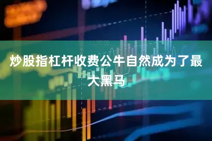 炒股指杠杆收费公牛自然成为了最大黑马